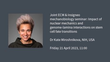 Insigneo seminar graphic: Impact of nuclear mechanics and genome-lamina interactions on stem cell fate transitions Dr Kate Miroshnikova, NIH, USA  Friday 21 April 2023, 11:00