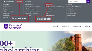 University of Sheffield MUSE My Services menu expanded with Blackboard link highlighted 