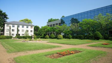 GLO - Chiba University