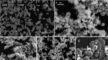 Magnified images of simonkolleite under different conditions and times