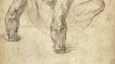 A Renaissance sketch of a the back of a male's upper body.