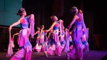 Wanlin Dance Academy performance