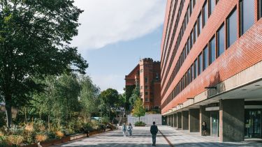 Students walking on the University's campus with trees lining one side and a university building on the other