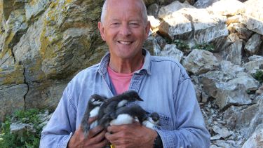 Professor Tim Birkhead holding guillemots