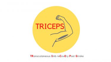 Logo showing a flexing arm in a yellow circle with the word TRICEPS in red writing