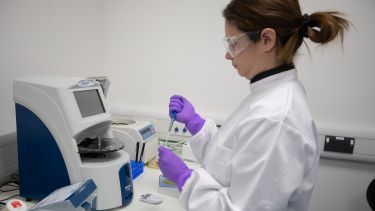 Research using lab equipment in the Gene Therapy Innovation and Manufacturing Centre