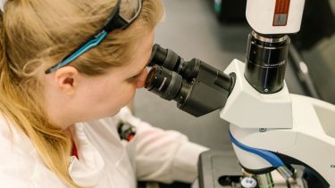 Researcher looking through a microscope