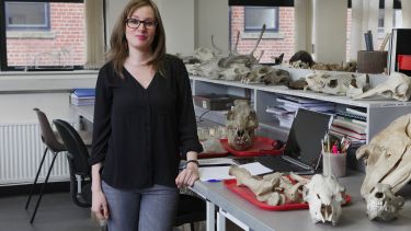 Student with bioarchaeological remains