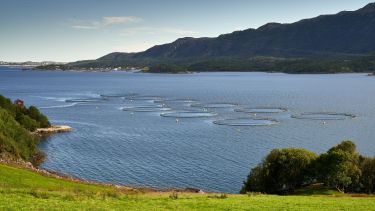 Salmon Farm with mountains in background