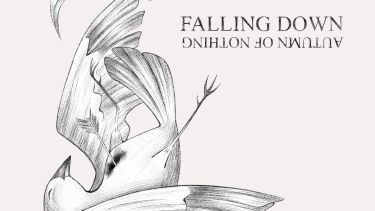 Album cover with bird falling 