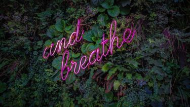 Foliage with 'and breathe' wording in lights