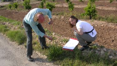 Two academics doing fieldwork, one is measuring a plant with a tape measure and the other is recording data in a folder.