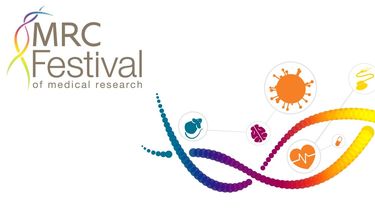 MRC Festival