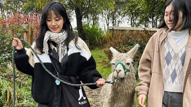 Two girls walking an alpaca