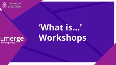 'What is...' Workshops 