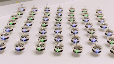 Rows of small robots connected together via elastic links