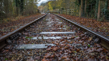 A close up of a railway line covered in leaves