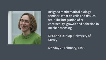 Image graphic: Insigneo mathematical biology seminar: What do cells and tissues feel? The integration of cell contractility, growth and adhesion in mechanosensing  Dr Carina Dunlop, University of Surrey  Monday 26 February, 13:00