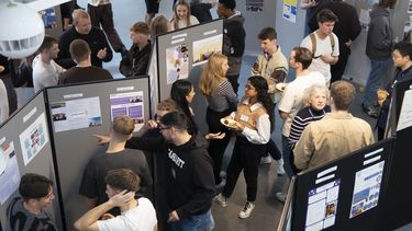 People looking at display boards containing posters about placements.