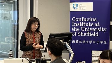 Dr Angela Lin from the Information School delivers her presentation
