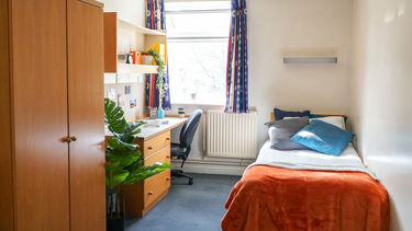A well lit student bedroom with a single bed and a plant