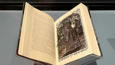Illustration of Merlyn in an open book on display
