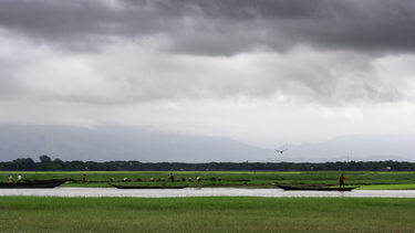 Wetlands Bangladesh 