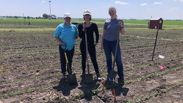 A photo showing 3 RockFACE staff stood in a field. On the right is summer intern from the Phenotypic Plasticity Research Experience for Community College Students PRECS program Hannah Maher