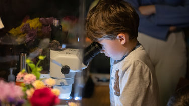 Young boy looking through microscope