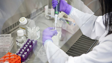 Laboratory technician uses micro-pipette 