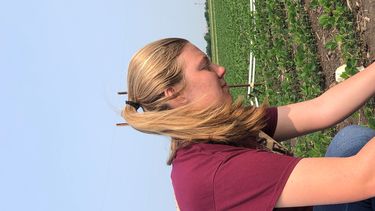 A photo showing Hannah kneeling in the soil and measuring stomatal conductance on individual leaves
