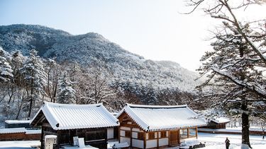 Traditional Korean temple covered in snow