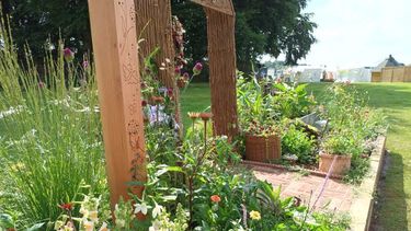Winning garden design from Tatton Park flower show