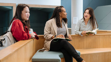 MBAs informally chatting in The Wave.