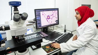 Student in the lab looking at cells on the screen