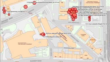 Plan or roads and buildings near to new central teaching laboratory site with red circles showing where new trees are proposed