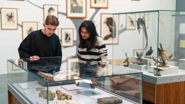 Students at a museum in Sheffield