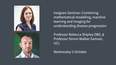 Insigneo Seminar graphic: Combining mathematical modelling, machine learning and imaging for understanding disease progression  Professor Rebecca Shipley OBE, &  Professor Simon Walker-Samuel,  UCL   Wednesday 2 October