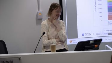 Juudit Ottelin presenting about rebound effects