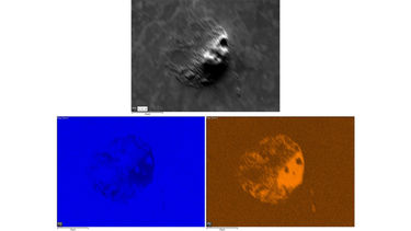 Electron micrograph and Energy Dispersive Spectroscopy elemental colour maps