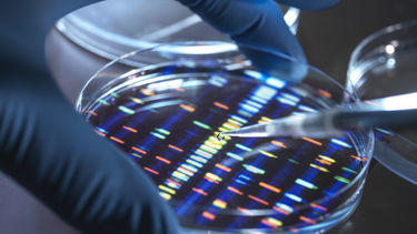 petri dish with DNA
