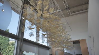 mesh birds art exhibit installation