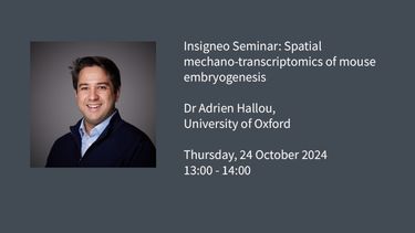 Insigneo Seminar graphic: Spatial mechano-transcriptomics of mouse embryogenesis, Dr Adrien Hallou, University of Oxford,  Thursday, 24 October 2024