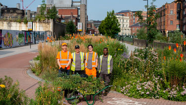A team of people standing near an area of the Grey to Green Scheme.