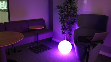 Sensory space with a purple light, armchair, and plant 