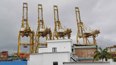 Four tall cranes standing behind some buildings