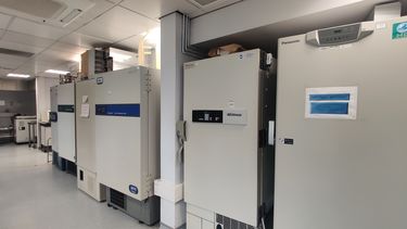 Line of Ultra-Low Temperature Freezers