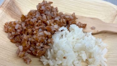 Two types of rice on a plate