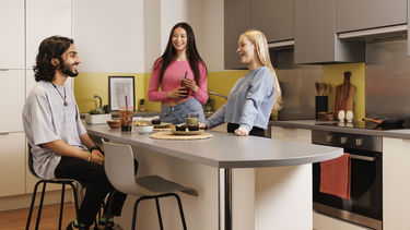 Kitchen at St Vincent's flat