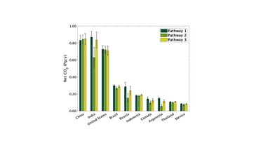 A graph showing petagrams of CO2 sequestration by country for different pathways